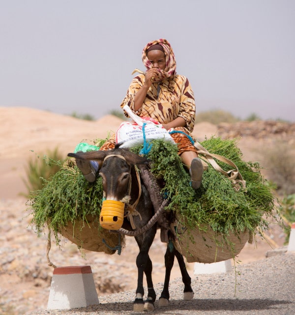 tour marruecos desde valencia